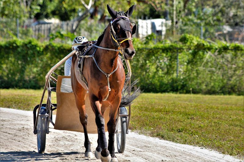 new rules for overtaking horses